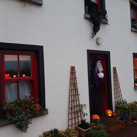 Nellys Bed&Bikes Hotell Westport Eksteriør bilde