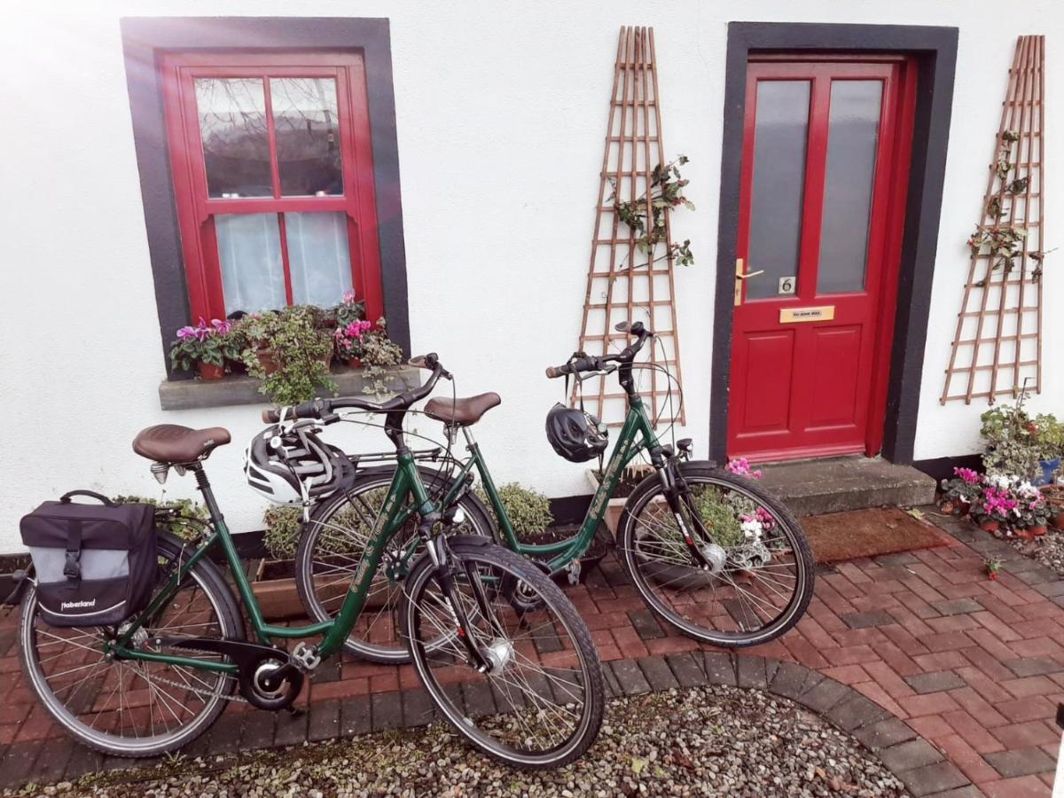 Nellys Bed&Bikes Hotell Westport Eksteriør bilde