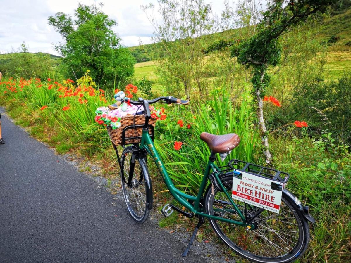 Nellys Bed&Bikes Hotell Westport Eksteriør bilde