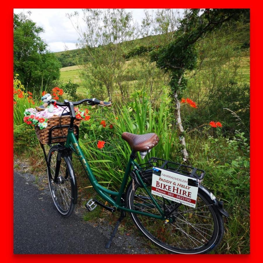 Nellys Bed&Bikes Hotell Westport Eksteriør bilde