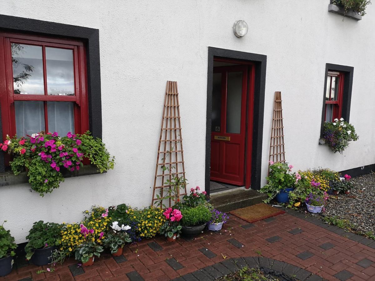 Nellys Bed&Bikes Hotell Westport Eksteriør bilde